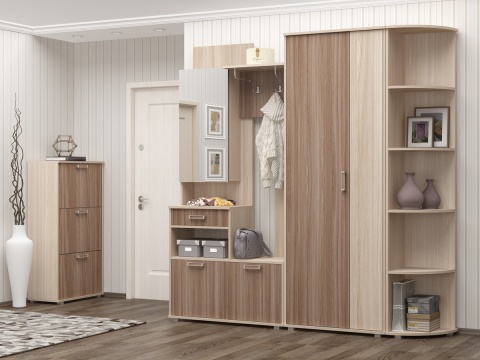 Прихожая Вавилон-9 ЛДСП (2,19*2,14*0,39)/Разные Цвета